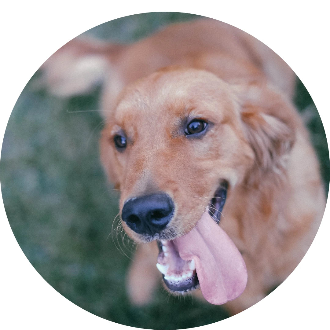 files/7.webp